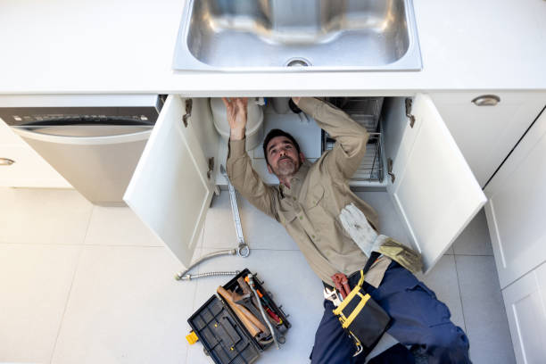 Best Clogged Drain Plumber  in Pulaski, WI