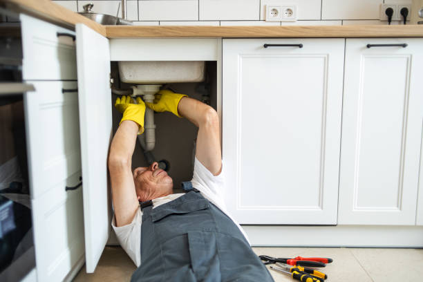 Best Affordable Plumbing Services  in Pulaski, WI